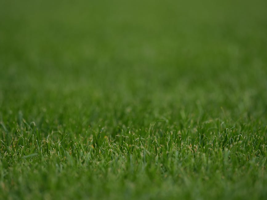 Close-up view of a lush, green lawn showing freshly cut grass with a mixture of narrow and broad blades, some lying flat while others stand upright. The soil beneath the grass is slightly visible in s